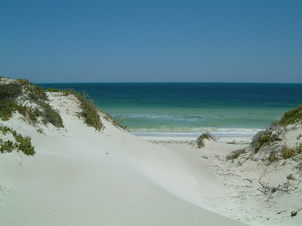 Dongara beach